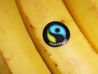 How sustainable is that 'sustainable' choice in the supermarket? Time for clear food choice labels